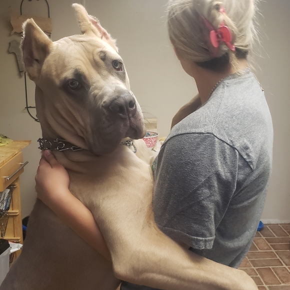 Meet your Posher, Monica - Picture 6 of 12